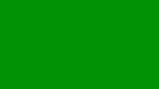 ✨ 1 Hour Solid Green Color Screen | 4K HDR 60fps | Relax & Background 🌟