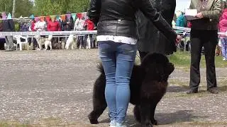 S1040004