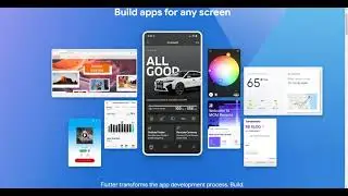 Working with Asset Images in Flutter: Adding Visual Appeal to Your App