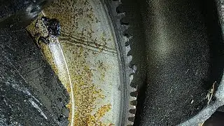 2004 Chevy Monte Carlo crank no start