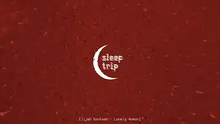 Elijah Knutsen - Lonely Aomori [ambient / field recordings]