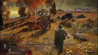 Elden Ring - Heart was POUNDING