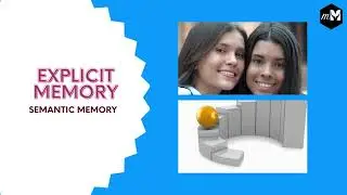 Long term memory, types, examples