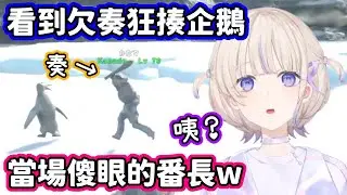 番長正沉浸在被可愛企鵝圍繞的喜悅中，卻聽到某人拿棍子開揍的聲音…w【轟一．音乃瀬奏／hololive中文】