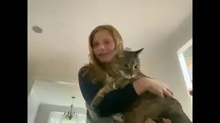My cat Kali