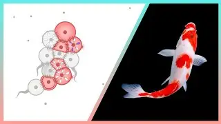 How To Become A Koi Keeper In Cell Lab