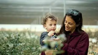 משקים פתוחים בפיתחת ניצנה