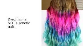 What are genetic traits?