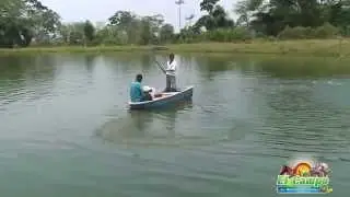 Cultivo de cachama