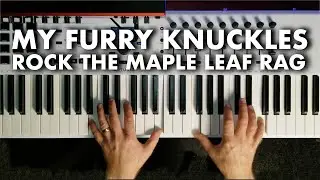 MY FURRY KNUCKLES ROCK THE MAPLE LEAF RAG