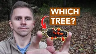 Identifying Trees Without Looking Up