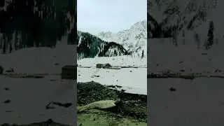 #trending #nature #travel #kashmir #hindisong #love