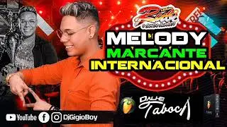 SET GIGIO BOY ON BOARD (exclusiva do set)