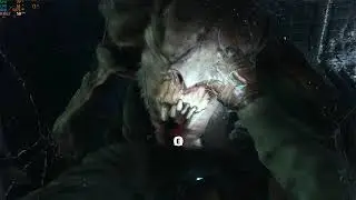 Test Performance - Metro Exodus - Core i3 8100 - RX  RX 580 8GB - Low to Ultra