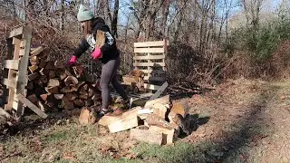 She Helped With Stacking Firewood