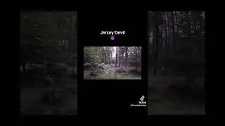 Jersey Devil #ghoststories #paranormal #scary #horrorstories #halloween #creepy #ghosts #cryptids