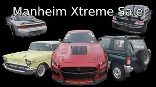 Manheim Xtreme Sale Vlog