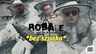 chillwagon robale bez szpaka