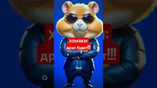 Hamster Kombat сделали заявление про дроп!