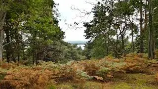 Lumix FZ82 Zoom Demo 2