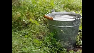 ПОДКОРМКА  ПЕРЦА ПОСЛЕ ПОСАДКИ В ГРУНТ