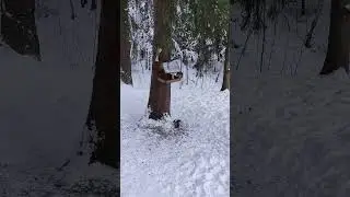 выживАльщики в пригороде
