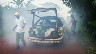 Cameroon, The Jungle's Survivors