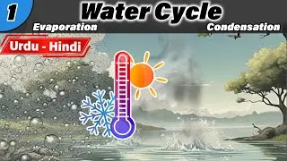 Water cycle part 1. Evaporation , Condensation , Precipitation , Transpiration , Hydrological Cycle