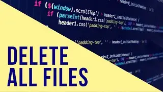 Delete All Files on a Linux System