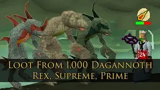 1,000 Dagannoth Rex, Prime and Supreme Kill Results!