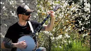BLACKBERRY BLOSSOM