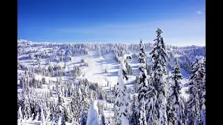 🎆🎄🎇✨ Травкин контент №18 🎉🎊🎍🎋