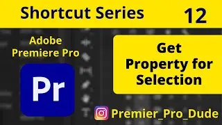 How to Get property for selected Object in Adobe Premiere Pro | Premier Pro Dude