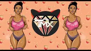MI BOSS🚨🍑 - GAPPY RANKS Feat TMX & DJ LUC