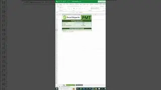 How To Use the PMT Function