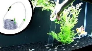 How To Clean Sand Aquarium Substrate