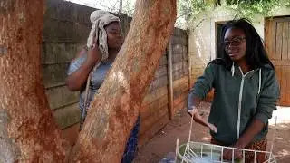 Murume wacho