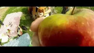 The Tunes - Apples