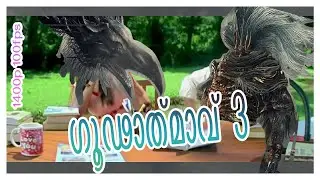 Fighting ദിലീപ്‌  in ഗൂഢാത്മാവ് 3 - Dark Souls 3