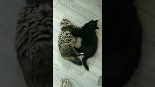 Тест на интуицию! Где мать, а где дочь?) пишите в комментариях...