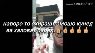 Бехтарин навор гуш кун чикадар зебо мехонад.