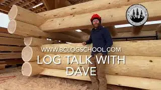 How to Build a Log Cabin: Cutting the Saddles for your Full Scribe Log Home #cabinbuild #logbuilding