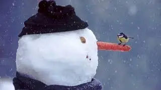 А за окном зима