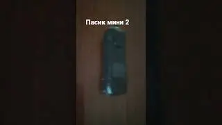 новый пасик 2 мини