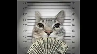 Sniping hackers with Meow Client