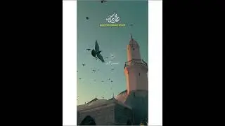 میں تو امتی ہوں اے شاہ امم #shorts #islamicquotes #naat #status #viralvideo #rabiulawaal