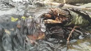 Stories by Nature: Hold on, hold on... Is that You?