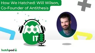 How We Hatched: Will Wilson, Co-Founder of Antithesis
