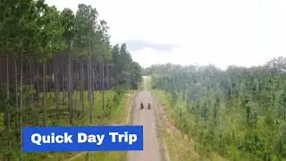 Good Day Out