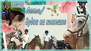 Лето / Будни на конюшне